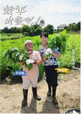 乘风破浪·第六季 神马电影在线播放